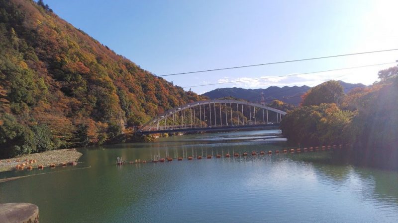 相模湖紅葉情報 ダヤンのお店